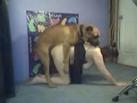 Girl gets her butt cheeks slammed by huge dog dick